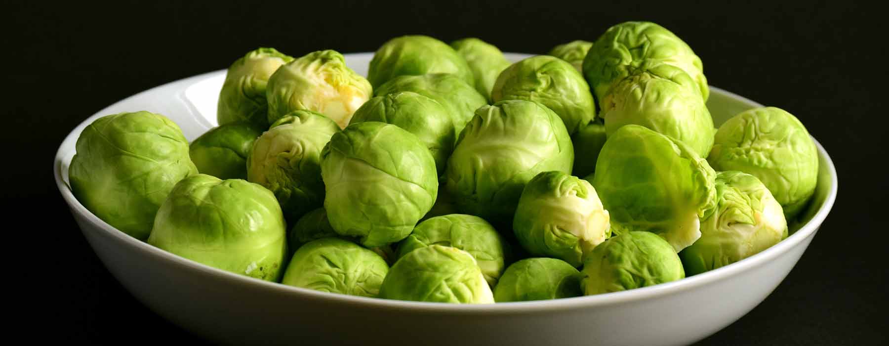 Can Guinea Pigs Eat Brussels Sprouts Guinea Piggles