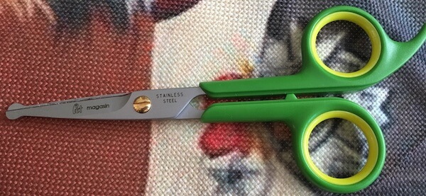 Round tipped scissors for guinea pig grooming