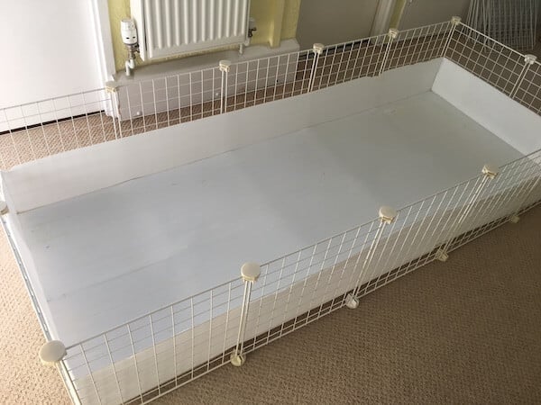 C And C Cage With Coroplast