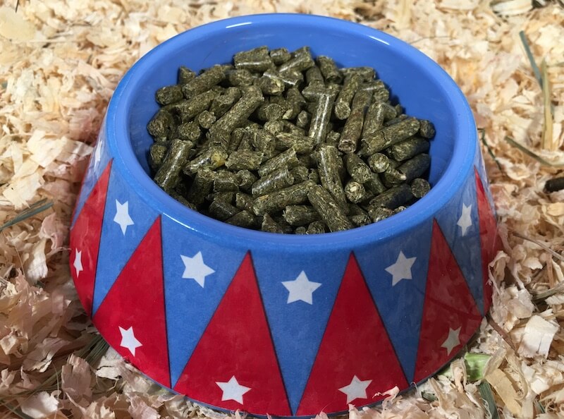 Best Guinea Pig Pellet Food A Complete Guide By Piggy Owners