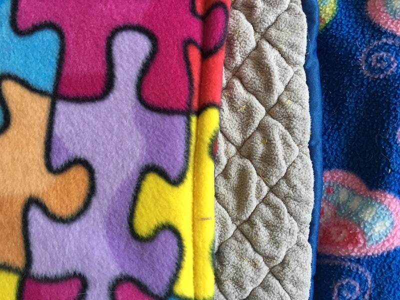 trimming cat's claws with human clippers