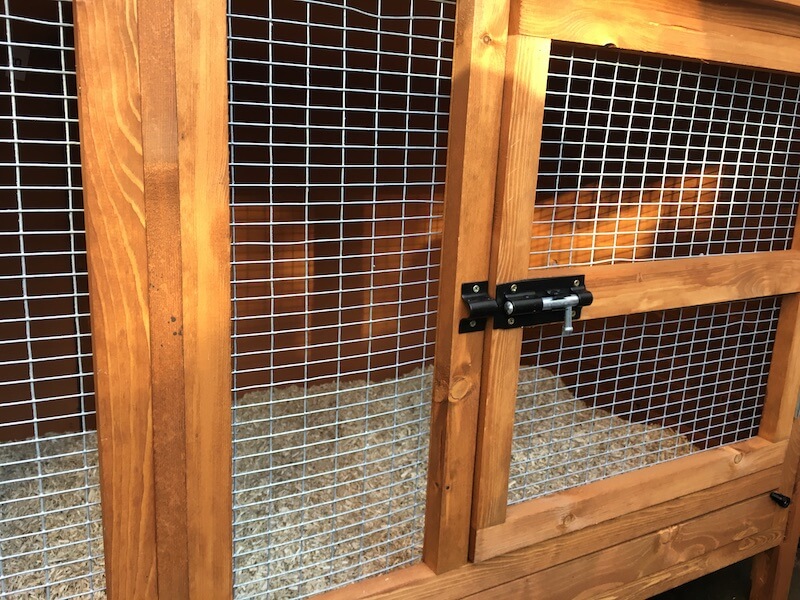 Guinea pig cage with fox-proof wire mesh