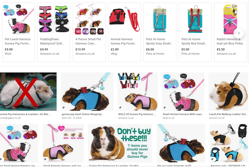 Guinea Pig Harnesses & Leashes Do Not Buy They are Dangerous!