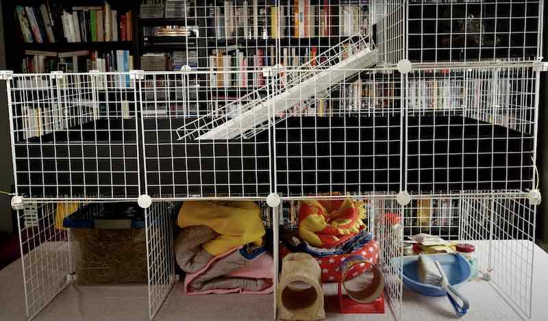 C And C Cage With Storage Space