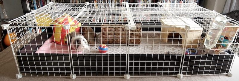 C And C Cage With Roof