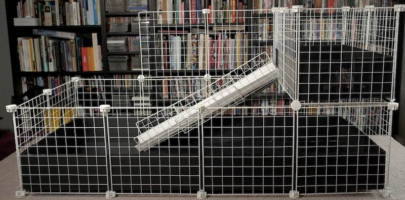 2x4 Guinea Pig C And C Cage With Loft And Ramp