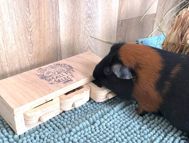 Guinea Pig Wooden Puzzle Toy