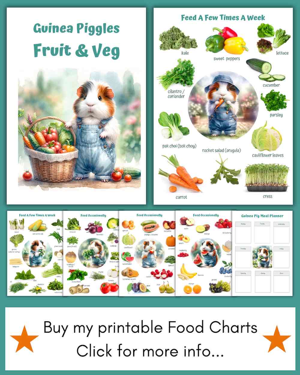 Guinea Pig Food Charts in Full Colour showing what vegetables, fruit and herbs guinea pigs can safely eat and how often, plus meal planner. Available to purchase.