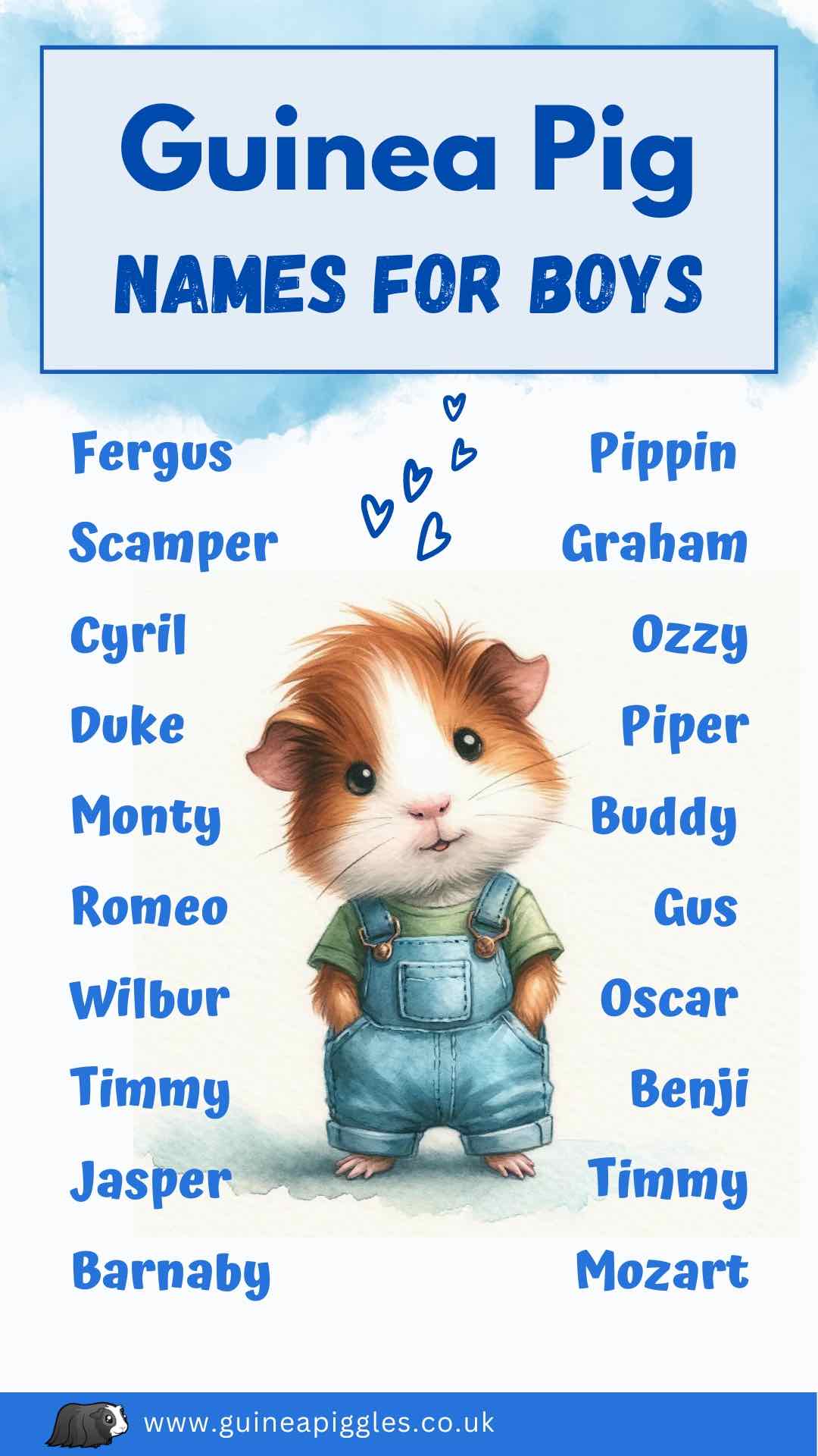 Boy guinea pig names